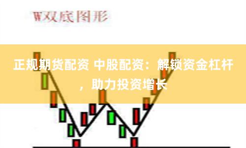 正规期货配资 中股配资：解锁资金杠杆，助力投资增长