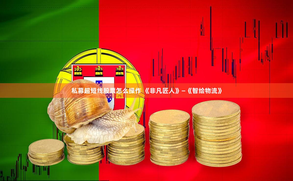 私募超短线股票怎么操作 《非凡匠人》—《智绘物流》