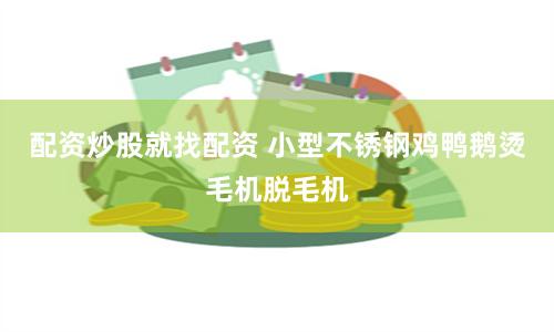 配资炒股就找配资 小型不锈钢鸡鸭鹅烫毛机脱毛机