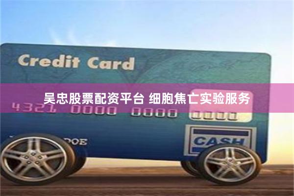 吴忠股票配资平台 细胞焦亡实验服务