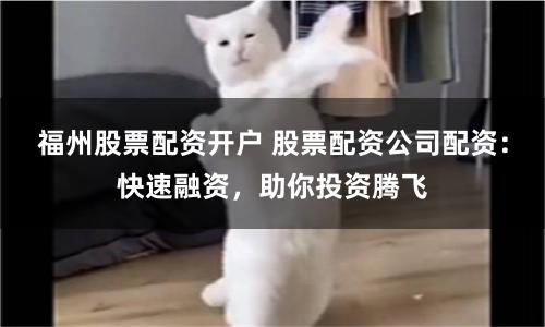 福州股票配资开户 股票配资公司配资：快速融资，助你投资腾飞