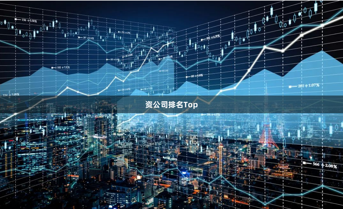资公司排名Top