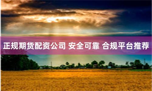 正规期货配资公司 安全可靠 合规平台推荐