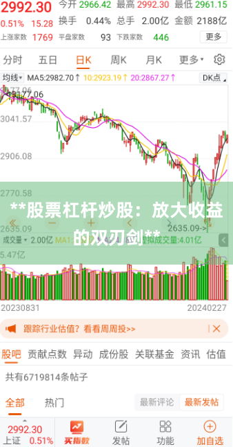 **股票杠杆炒股:放大收益的双刃剑**
